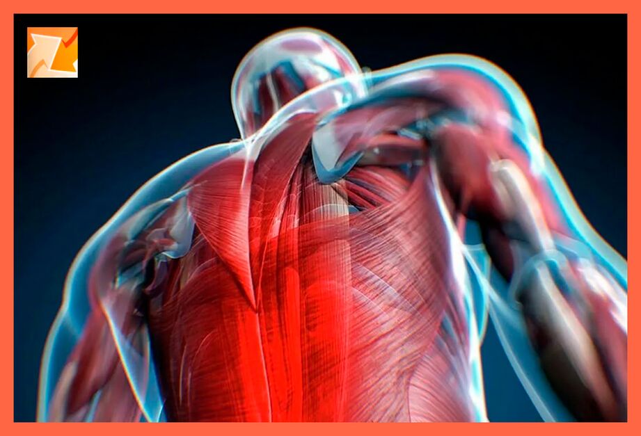 Características de desconforto